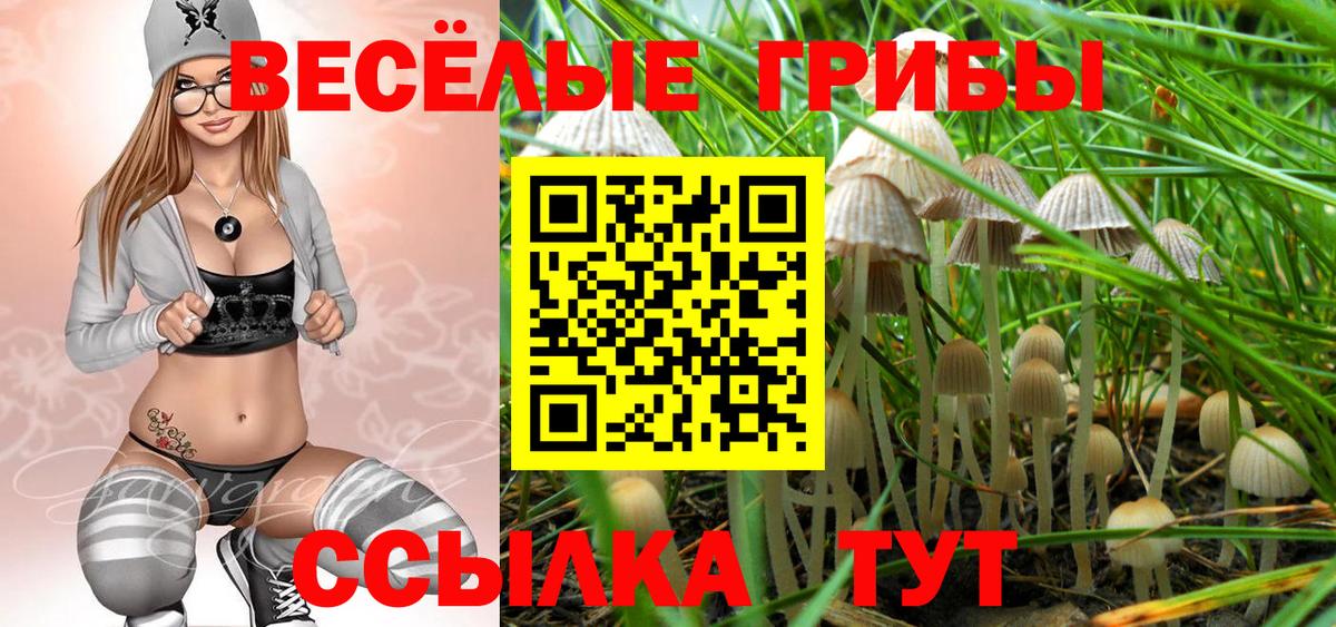 Псилоцибиновые грибы Cubensis Нягань