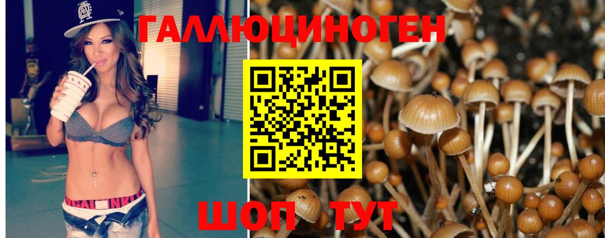 Нягань  Псилоцибиновые грибы MAGIC MUSHROOMS  Вход с VPN  Галлюциногенные грибы Psilocybine cubensis 